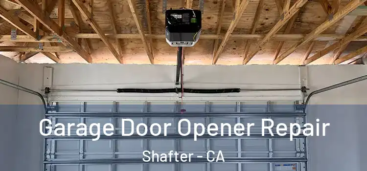  Garage Door Opener Repair Shafter - CA